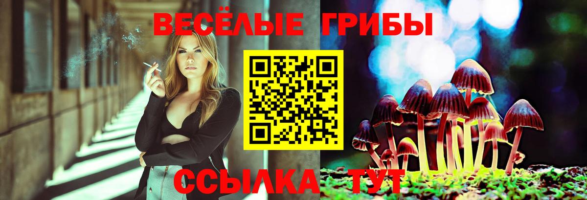 Галлюциногенные грибы прущие грибы Ярцево